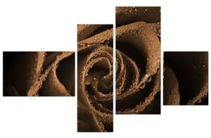 Detail ruže - obraz (Obraz 110x70cm)
