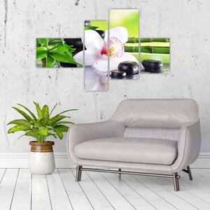 Obraz orchidey (Obraz 110x70cm)