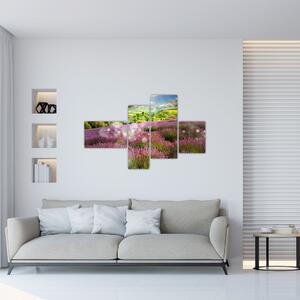 Levanduľové polia - obraz (Obraz 110x70cm)