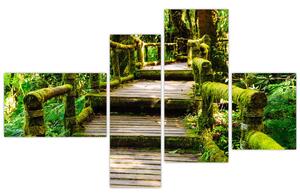 Schody v záhrade - obraz (Obraz 110x70cm)