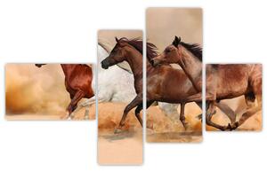 Obraz kôň (Obraz 110x70cm)