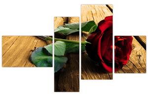 Ležiaci ruža - obraz (Obraz 110x70cm)