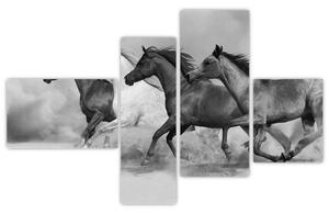 Obraz cválajúci koňov (Obraz 110x70cm)