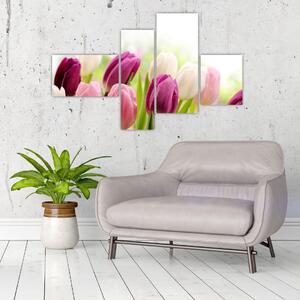 Tulipány, maľby (Obraz 110x70cm)