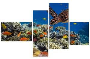 Obraz podmorského sveta (Obraz 110x70cm)