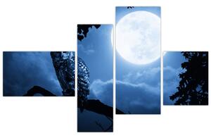 Nočná príroda, obrazy (Obraz 110x70cm)