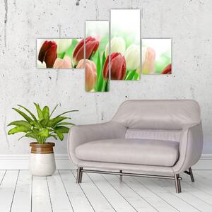 Tulipány, obraz (Obraz 110x70cm)