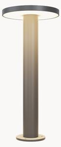 LED lampa na osvetlenie chodníka Wald