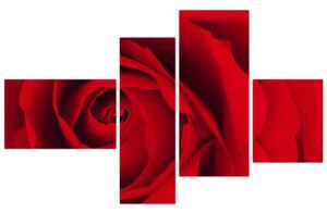 Detail červené ruže - obraz (Obraz 110x70cm)