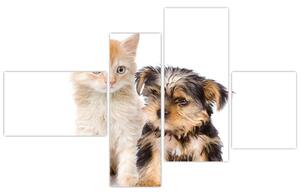 Mačiatko a šteňa - obraz (Obraz 110x70cm)