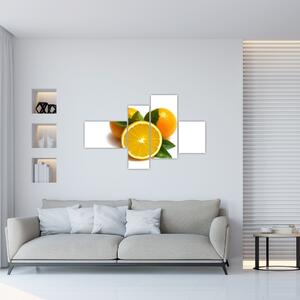 Pomaranče - obraz (Obraz 110x70cm)