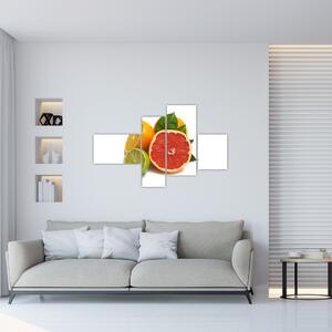 Citrusové plody - obraz (Obraz 110x70cm)