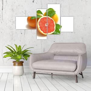 Grapefruit, obraz (Obraz 110x70cm)