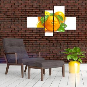 Pomaranče, obraz (Obraz 110x70cm)