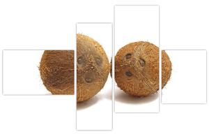 Kokosový orech, obraz (Obraz 110x70cm)