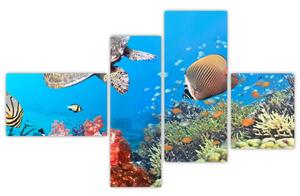 Podmorský svet, obraz (Obraz 110x70cm)