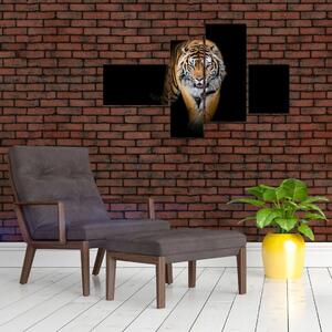 Tiger, obraz (Obraz 110x70cm)