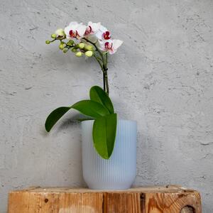 Elho plastový kvetináč Vibes Fold Orchid transparentný Ø 13 cm