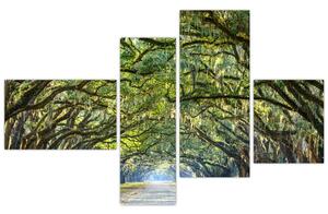 Aleje stromov - obraz (Obraz 110x70cm)