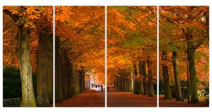 Obraz cesty lesom na jeseň (Obraz 160x80cm)