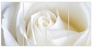 Obraz biele ruže (Obraz 160x80cm)
