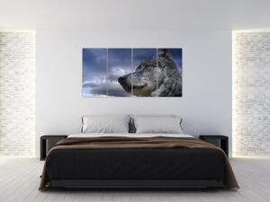 Obraz vlka (Obraz 160x80cm)