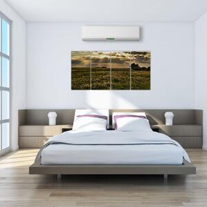 Moderný obraz prírody (Obraz 160x80cm)