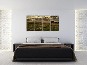 Moderný obraz prírody (Obraz 160x80cm)