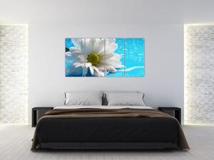 Obraz kvetu margaréty (Obraz 160x80cm)