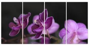 Obraz kvetov (Obraz 160x80cm)