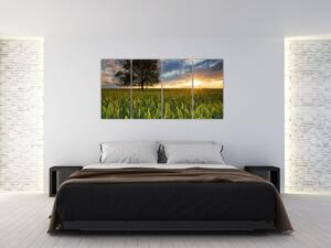 Moderný obraz - pole (Obraz 160x80cm)