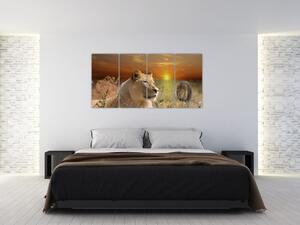 Obrazy zvierat (Obraz 160x80cm)
