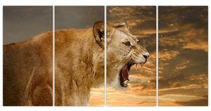 Obraz revúceho leva (Obraz 160x80cm)