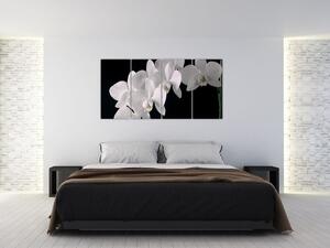Obraz - biele orchidey (Obraz 160x80cm)
