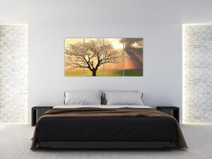Obraz prírody - strom (Obraz 160x80cm)