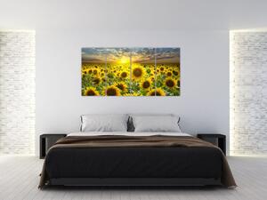 Obraz slnečníc (Obraz 160x80cm)