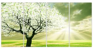 Jarný strom - moderný obraz (Obraz 160x80cm)