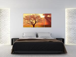 Obraz prírody - strom (Obraz 160x80cm)
