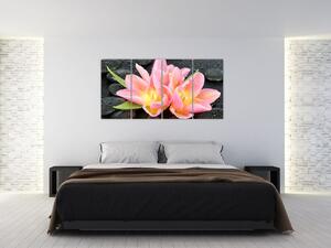 Obraz kvetov (Obraz 160x80cm)