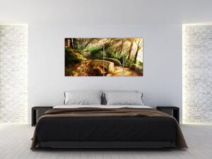 Obraz lesné cesty (Obraz 160x80cm)
