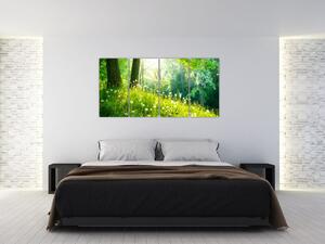 Moderné obrazy prírody (Obraz 160x80cm)