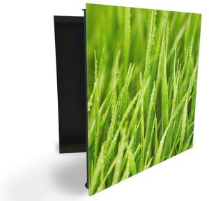Glasdekor skrinka na kľúče - detail zelenej jarnej trávy - Ľavé / Čierna