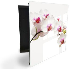 Glasdekor skrinka na kľúče - kvet orchidey na bielom podklade - Ľavé / Čierna