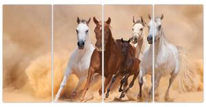 Obrazy bežiacich koní (Obraz 160x80cm)
