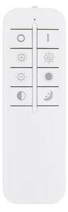 Globo 48442-50SH - LED stmievateľné stropné svietidlo RODERICK 50W/230V 46x54,5 cm+DO