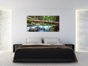 Obraz do bytu - horský potok (Obraz 160x80cm)