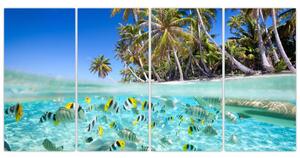 Obraz tropického mora (Obraz 160x80cm)