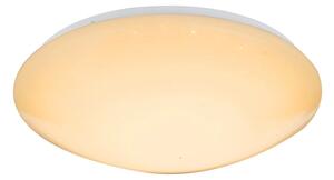 Globo 48363-24RGB - LED RGB stmievateľné stropné svietidlo ATREJU 24W/230V, priemer 41 cm + diaľkové ovládanie