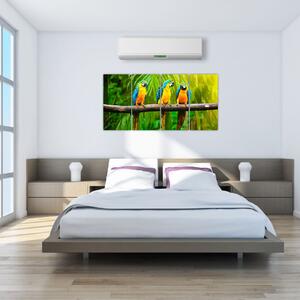 Moderný obraz - papagáje (Obraz 160x80cm)