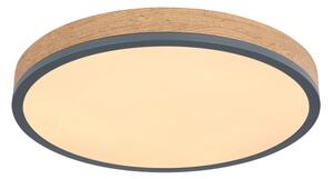 Globo 416080WD2R-CCT-LED stmievateľné stropné svietidlo DORO 24W/230V 3000-6500K pr. 45 cm